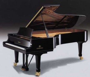 Sự khác biệt giữa đàn Piano và đàn Organ