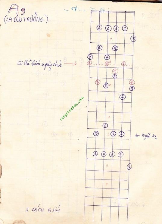 Tôi học bấm hợp âm guitar