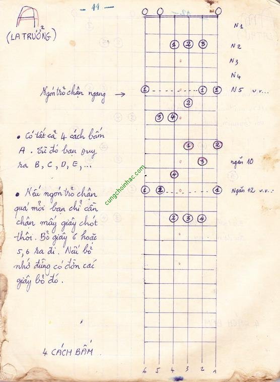 Tôi học bấm hợp âm guitar