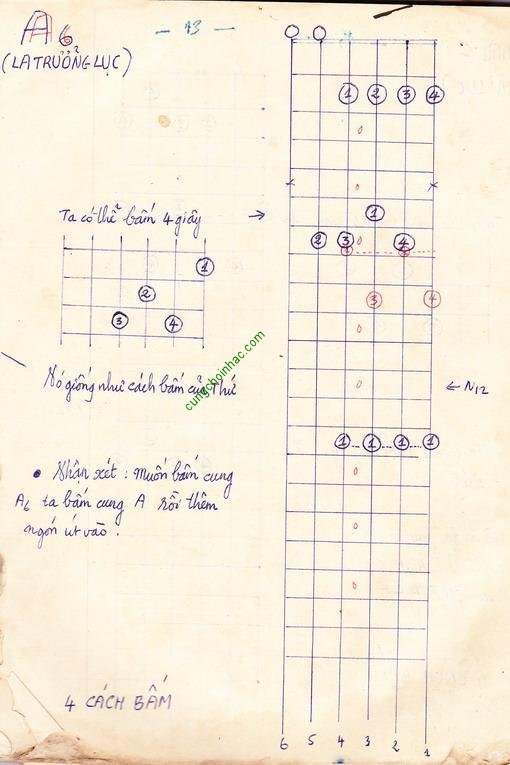 Tôi học bấm hợp âm guitar