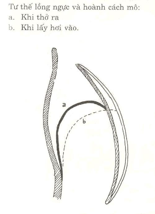 Thanh Nhạc Lý Thuyết và Thực Hành