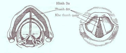 Thanh Nhạc Lý Thuyết và Thực Hành