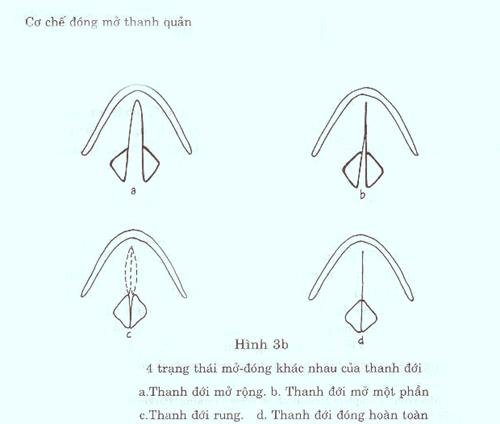 Thanh Nhạc Lý Thuyết và Thực Hành