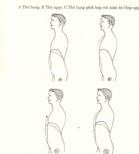 Thanh Nhạc Lý Thuyết và Thực Hành