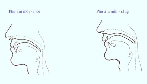 Thanh Nhạc Lý Thuyết và Thực Hành