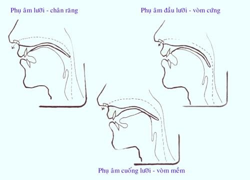 Thanh Nhạc Lý Thuyết và Thực Hành